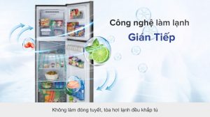 tu-lanh-sharp-sj-x281e-ds-070821-0358594_93f5052feb0e4b0b99562e394943c6bd.jpg
