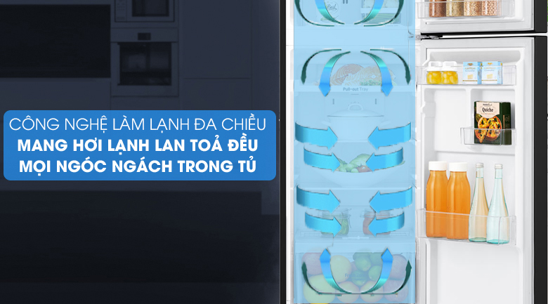 Tủ lạnh LG Inverter 266 lít GV-B262BL