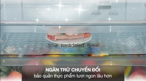 tu-lanh-hitachi-540-lit-r-fw690pgv7x-gbk638011918061328195.jpg