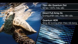 smart-qled-4k-75-inch-samsung-qa75q80b637895885612885360_a534c1666387496988c5140082e6b11a.jpg