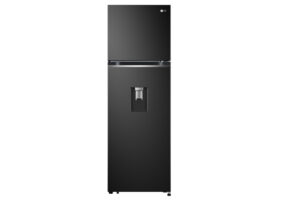 LG Inverter 264 lít GV-D262BL