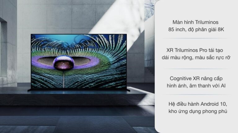 vi-vn-led-sony-xr-85z9j-1_32430062db16493b825b3e6111005721-1.jpg