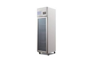 Tủ đông Fuji Air 1 cánh kính FF25-1G