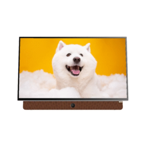 Google Tivi Coocaa  Full HD 24 inch xách tay 24LP6000G